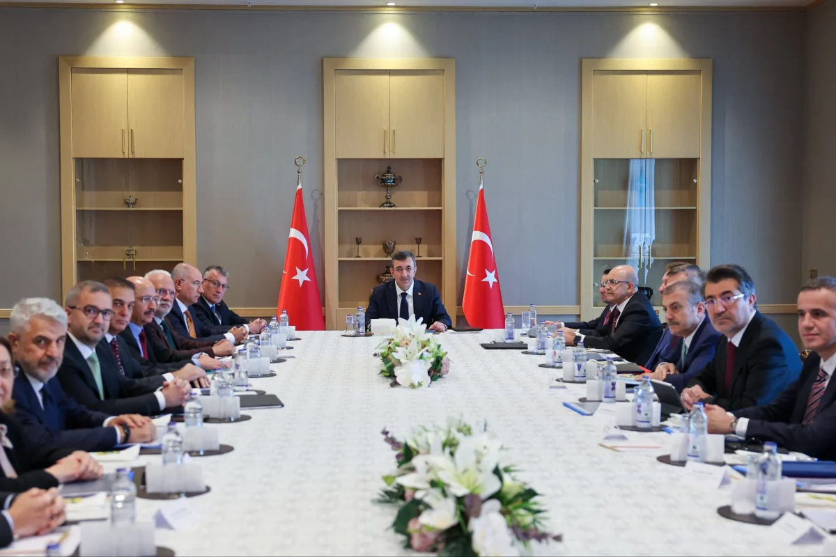 Fon piyasasındaki sorunlar için Hazine ve SPK devrede