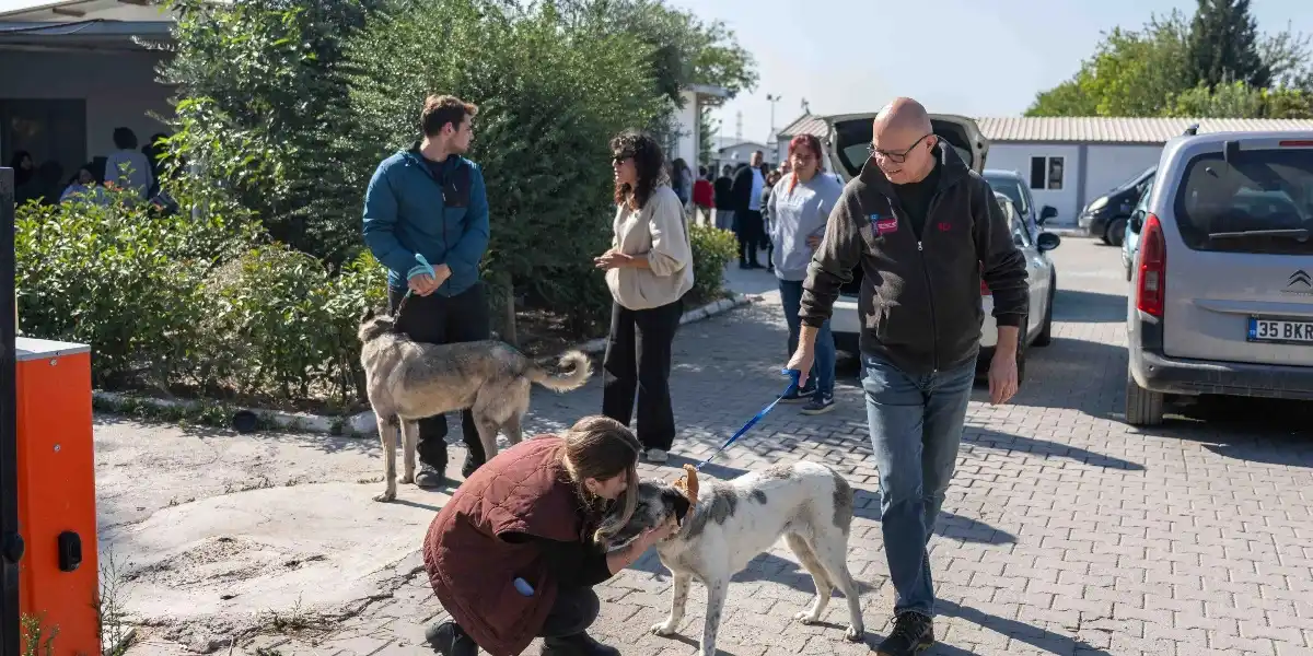 Ege Üniversitesi’ndeki 83 köpeğin tamamı sahiplendirildi